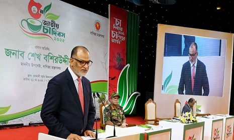 চা রপ্তানি বাড়াতে কাজ করছে সরকার: উপদেষ্টা