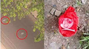 শাহবাগে নিষিদ্ধ ছাত্রলীগের ঝটিকা মিছিল, ককটেল বিস্ফোরণ