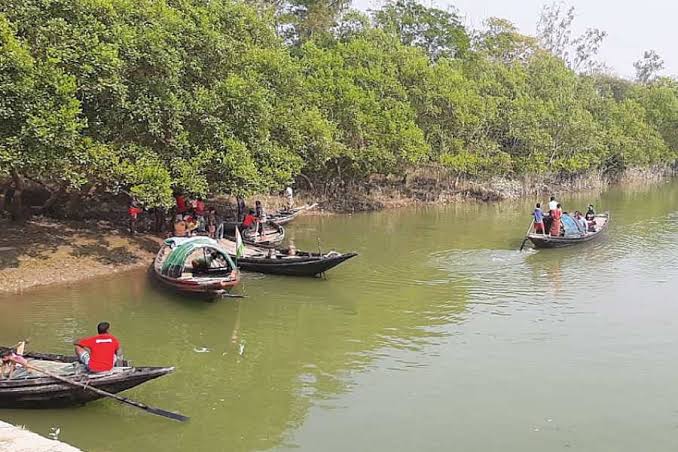 পর্যটকরা আর ঘুরতে যেতে পারবেন না সুন্দরবন!
