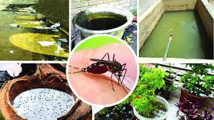 সতর্ক থাকুন, সচেতন হোন: ডেঙ্গু ও করোনা প্রতিরোধে করণীয়