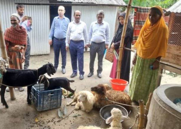 কাজিপুরে প্রাণিসম্পদ উন্নয়ন প্রকল্প পরিদর্শন ও মতবিনিময় অনুষ্ঠিত