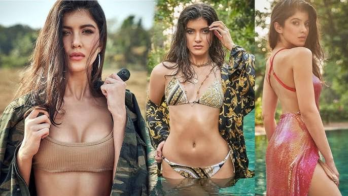 বলিউডে পা রেখেই যে ‘অনুভূতি’ ব্যক্ত করলেন শানায়া