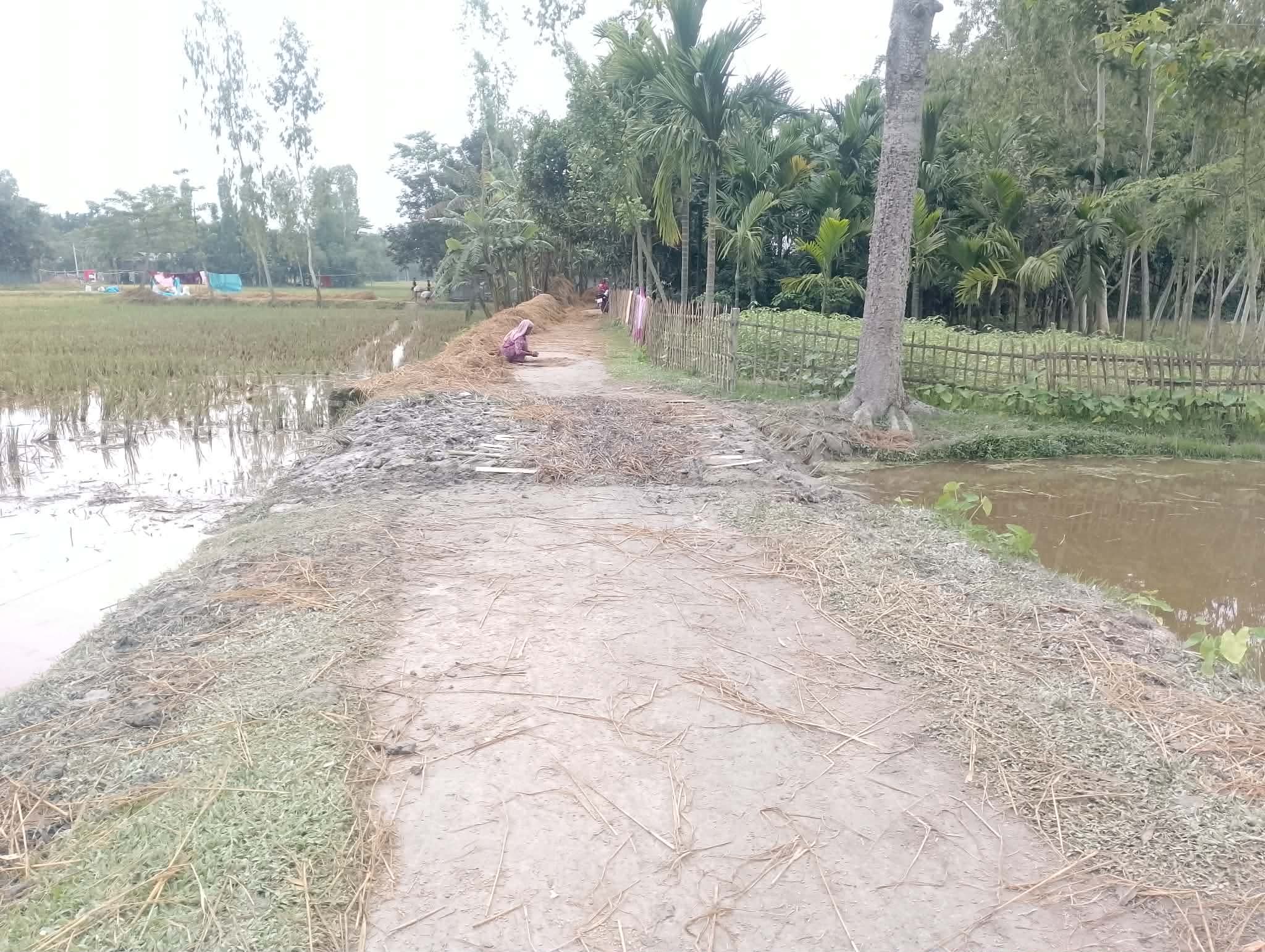 ​রাজারহাটের উমর মজিদ ইউপি চেয়ারম্যানের প্রতিশ্রুতি আমলহীন: স্বেচ্ছাশ্রমে রাস্তা মেরামতে নামলেন এলাকাবাসী
