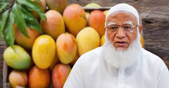 সংসদের সবাইকে ১০ কেজি করে আম উপহার, প্রশংসায় ভাসছেন জামায়াত আমির