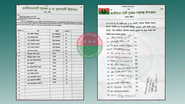 প্রবাসীদের দিয়ে যুবদলের ৩১ সদস্যের কমিটি, ১৬ নেতার পদত্যাগ
