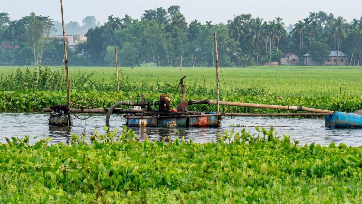 ঘাটাইলে ফসলি জমি গিলে খাচ্ছে ‘বাংলা ড্রেজার’